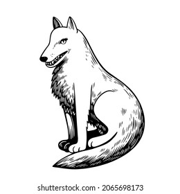 Lobo blanco y negro con un lindo estilo de caricatura semirealista. Ilustración de línea dibujada a mano.
