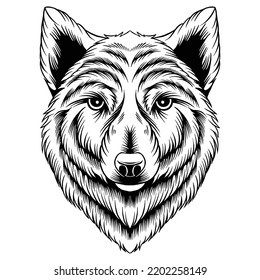 Black White Wolf Head Vector Illustration Stock Vector (Royalty Free ...