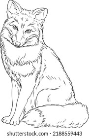 Black and white wolf in lines vector image