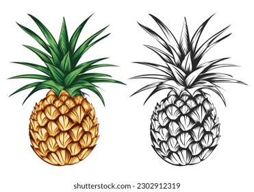 A black and white and a wonderfull pineapple vector illustration.