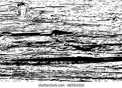 Black and white wooden texture. Vector.