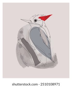 A Black and white woodpecker line art Drawing