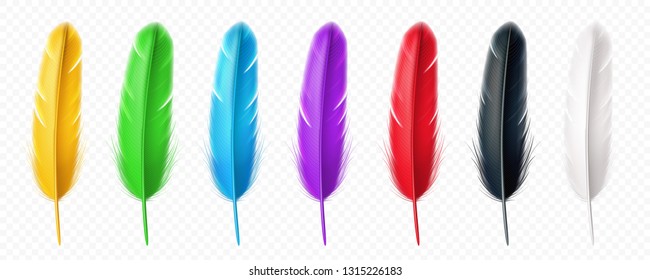 Reds - Feathers By Colour - Feathers