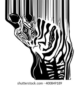 black and white Zebra - abstraction turns into a bar-code for pictures strip