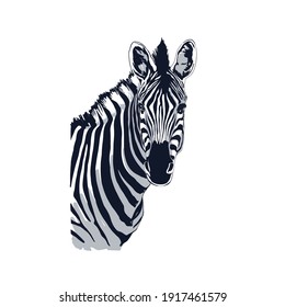 black and white zebra head