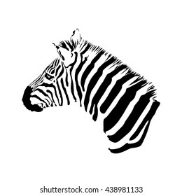 black and white zebra head, isolated animal vector illustration