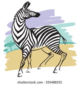 black and white zebra on a colored background