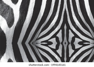 Black and white zebra pattern, for fashion design background