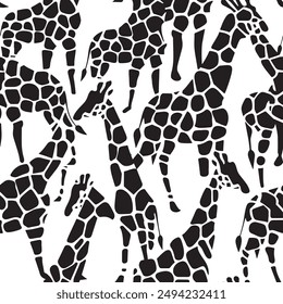 	
Black and White Zebra Print Pattern