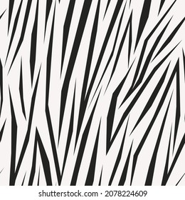 impresión de cebra en blanco y negro. Patrón transparente de vectores para ropa o huellas