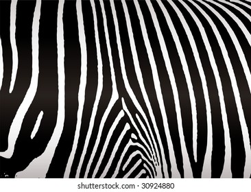 Black and white zebra skin or hide that makes ideal background