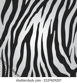 Black and white zebra skin pattern vector