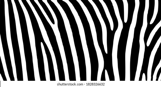 Schwarz-Weiß-Zebra-Hautvektor-Muster