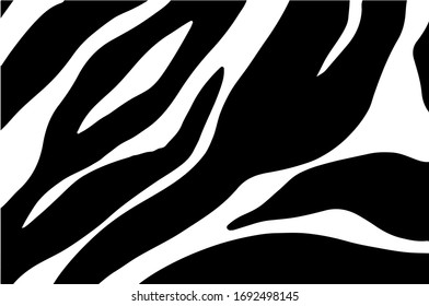 Black and white zebra stripes background. Zebra skin. Zebra background.Vector illustration.