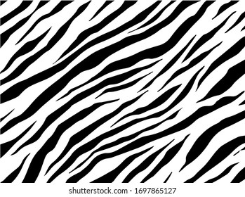 Black and white zebra stripes background. Vector illustration.