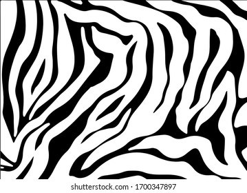Fondo de rayas de cebra en blanco y negro. Piel de cebra. Fondo de cebra.Ilustración vectorial.