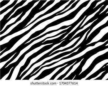 Black And White Zebra Stripes Background. Zebra Skin. Zebra Background.Vector Illustration.