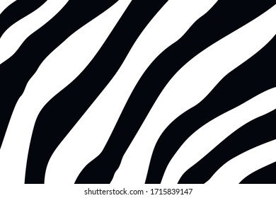 Black and white zebra stripes background. Zebra background.Vector illustration.