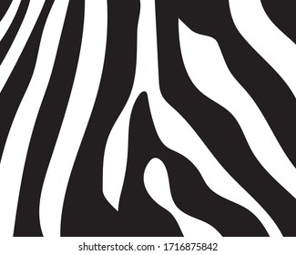 Black and white zebra stripes background. Zebra background.Vector illustration.