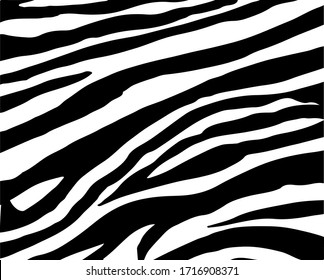 Black and white zebra stripes background. Zebra background.Vector illustration.