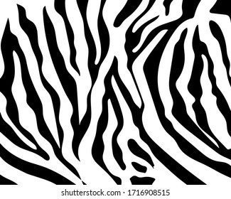 Black and white zebra stripes background. Zebra background.Vector illustration.