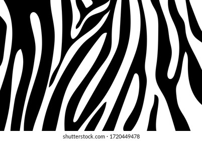 Black and white zebra stripes background. Zebra background.Vector illustration.