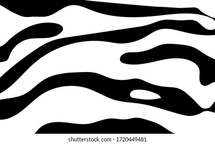 Black and white zebra stripes background. Zebra background.Vector illustration.