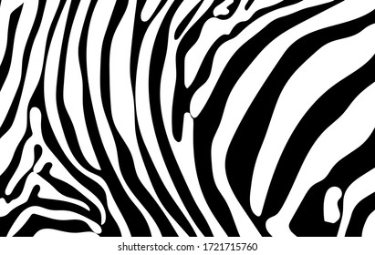 Schwarz-weißer Zebrastreifen-Hintergrund. Zebra-Hintergrund.Vektorgrafik.