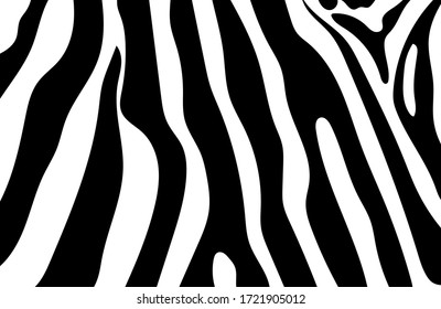 Black And White Zebra Stripes Background. Zebra Background.Vector Illustration.