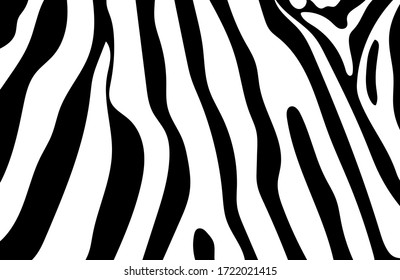 Schwarz-weißer Zebrastreifen-Hintergrund. Zebra-Hintergrund.Vektorgrafik.