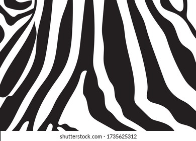 Black and white zebra stripes background. Zebra skin. Zebra background.Vector illustration.