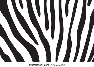Black and white zebra stripes background. Zebra skin. Zebra background.Vector illustration.