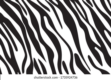 Black and white zebra stripes background. Zebra skin. Zebra background.Vector illustration.