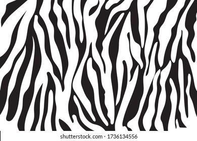 Black and white zebra stripes background. Zebra skin. Zebra background.Vector illustration.