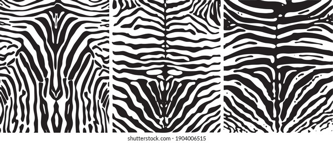 Schwarz-weißer Zebrastreifen-Hintergrund. Vektorgrafik. Zebra-Muster, stylische Streifenstruktur. Tiernatürlicher Ausdruck. Für die Gestaltung von Bildschirmhintergründen, 