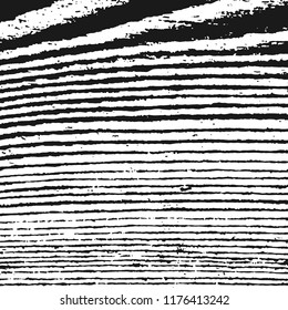 Black And White Zebra Texture Background. Abstract Ripped Strips. Grunge Design Elements. Vector Monochrome Illustration, Eps 10.