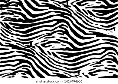 Black and white zebra texture vector