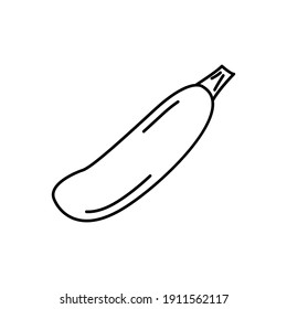 Black and white zucchini image, vector illustration, eps
