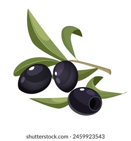 Black whole olives with leaves isolated on white background