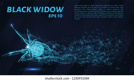A black widow of blue glowing dots. Spider vector illustration