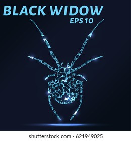 Black widow consists of points, lines and triangles. The polygon shape in the form of a silhouette of a spider on a dark background Vector illustration