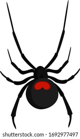 Black widow, illustration, vector on white background