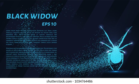 Black widow from the particles. The silhouette of the black widow of small circles.