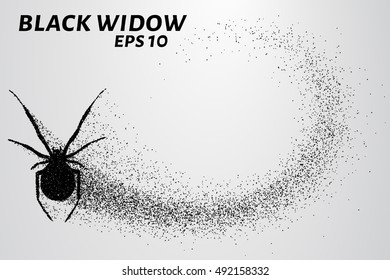 Black widow from the particles. The silhouette of the black widow of small circles.