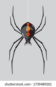 Black Widow Poisonous Spider, Descending.