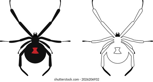 Black Widow Poisonous Spider Vector Illustration. Halloween Clipart.
