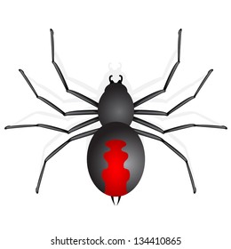 421 Red Back Spider Vector Images, Stock Photos & Vectors | Shutterstock