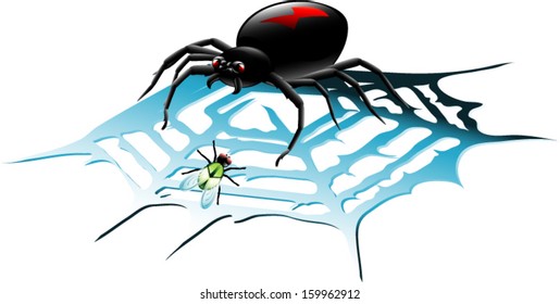 Black Widow Spider