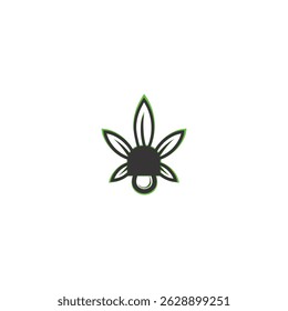 Black widow spider, a dangerous arachnid insect on white