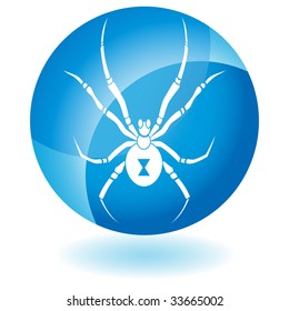 black widow spider glass